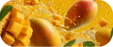 Mango and fruit ingredients